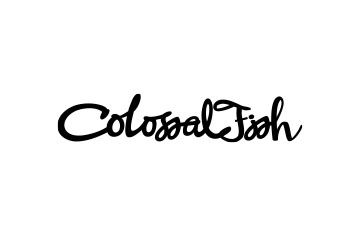 Colossal Fish
