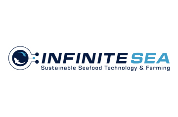 Infinitesea